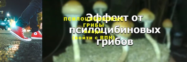 МДПВ Михайловск